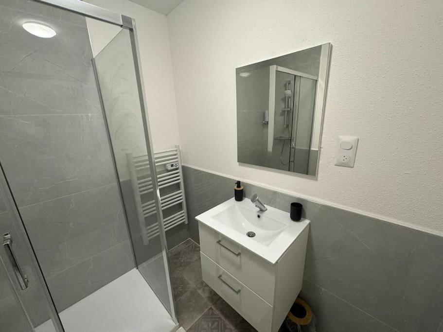 Pampas Appartement Mulhouse Buitenkant foto